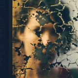 Spesso il male di vivere ho incontrato di Montale: analisi