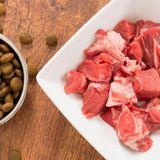 #sarnano "ho voglia di bistecca cruda"