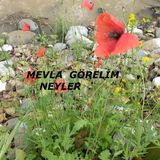 Mevla Görelim Neyler Şiiri