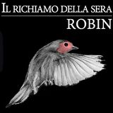 04 - Robin
