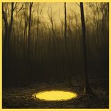 Buried in the Woods: Haunting Stories from Forgotten Places