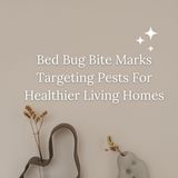 Bed Bug Bite Marks Targeting Pests For Healthier Living Homes