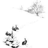 Der Tannenbaum | Weihnachtsgeschichten