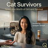 Cat Survivors - Safe Harbor: The Secret Networks Saving Cats from Domestic Abuse