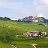 [Sogno Tricolore 1] Langhe - Piemonte
