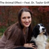 The Animal Effect - Featuring Dr. Taylor Griffin