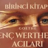 Genç Werther'in Acıları - Goethe (Sesli Kitap - Birinci Kitap) 1 2