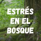 62b. Estrés en el bosque (manejo de la presión física y emocional)