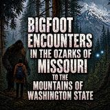 BIGFOOT ENCOUNTERS FROM MISSOURI TO WASHINGTON STATE | WE HEARD THEM TALKING IN THE FOREST