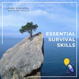 Wilderness Survival - Thriving in Remote Environments with Limited Resources