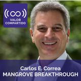 Manglares, activo natural clave en la acción climática global