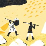 Is Natural Salt Bad For Health? The Essential Mineral Medicine Ignores