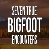 A Maine Hunting Guide and Bigfoot