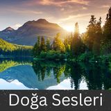 Nehir Ambiyansı - Uyku, Meditasyon ve Rahatlama için 10 Saat