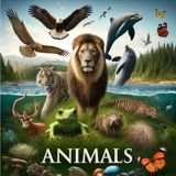 Exploring the Wonders of the Animal Kingdom - A Captivating Journey