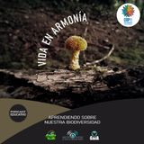 NUESTRO OXÍGENO Vida en armonía, aprendiendo sobre nuestra biodiversidad
