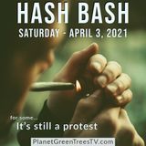 HASH BASH 2021 Part 2 - Episode - 509 - Planet Green Trees TV