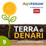 Il Valore Nascosto