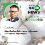 Brasil supera 2 milhões de hectares de soja certificada