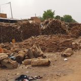 Défis environnementaux et éducatifs au cœur de l’émission du jour (Le Niger sur Kalangou)