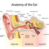 Survival Medicine Podcast: Ear Issues, IBS
