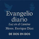 Evangelio Diario 4 de Diciembre  Mons Enrique Diaz #Evangelio #Everyone
