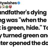 When the sunset is green_ you must stay unseen