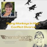 Flying Monkeys in High Conflict Divorce