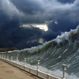 La Vida Sin Nosotros: Olas de Devastacion #documental #ciencia #apocalipsis #podcast
