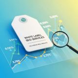 White Label SEO Agency The Silent Growth Partner Behind Successful Digital Brands