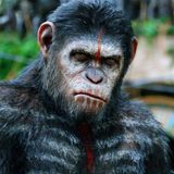 #24 Dawn of the Planet of the Apes