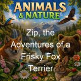 Zip the Adventures of a Frisky Fox Terrier - Frances Trego Montgomery