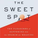 Savoring The Sweet Spot: A Guide to Finding Happiness and Fulfillment