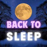 Get Back to Sleep 💤 Guided Meditation to Quiet Overthinking at Night(MP3_160K)