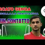 Mercato GENOA: sboccia la trattativa per il PERIN bis in rossoblù. PISILLI rimane un nome caldo