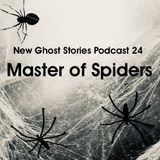 24 - Master of Spiders