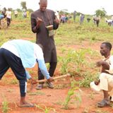Entraide communautaire : le Gayya ou Boogu au service des travaux agricoles(Magazine)