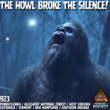 Screams in Allegheny | A Collection of Encounters