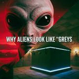 Why ALIENS Look Like "Greys": Gliese 667C & The Serapeum Tombs