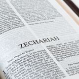 7-5-2026: 14th Sunday of Ordinary Time Homily Year A