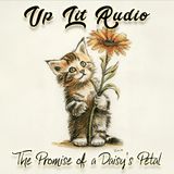 The Promise of a Daisy's Petal - A Lost Kitten's Adventure - Flash Fiction - With Ambient Music