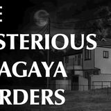 The Mysterious Setagaya Murders