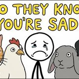 Do Animals Know When a Human is Sad_