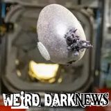 Spudnik-1: The Tentacled Space Creature That Turned Out to Be a Potato