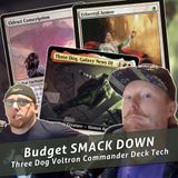 Commander Cookout Podcast, Ep 425 - Three Dawg Galaxy News DJ - Boros Enchantress AGAIN?!