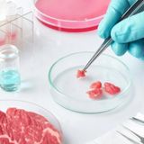 Lab Grown Meat & Climate Change: Saving the Planet or Controlling the People?