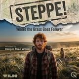 Steppe - Nowhere to Hide