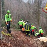 Boscaiolo travolto da un albero appena tagliato: è in gravi condizioni – VIDEO