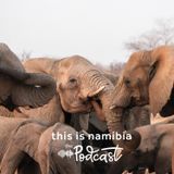 A Century of stewardship:  The history of conservation in Etosha National Park