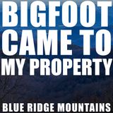 BIGFOOT SHOWED UP TO MY PROPERTY IN THE BLUE RIDGE MOUNTAINS | THIS CHANGED MY LIFE FOREVER!